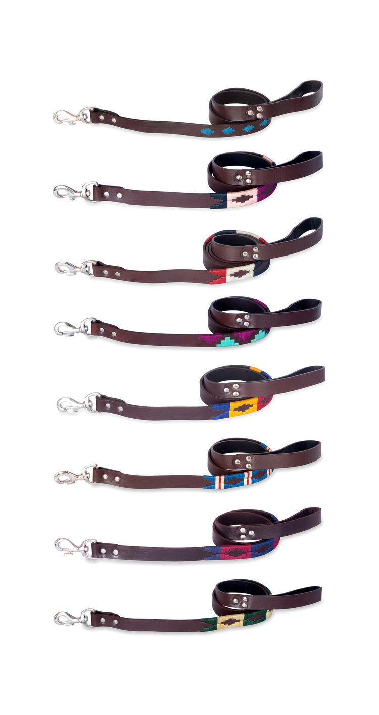 Different  Leather Dog Leashes