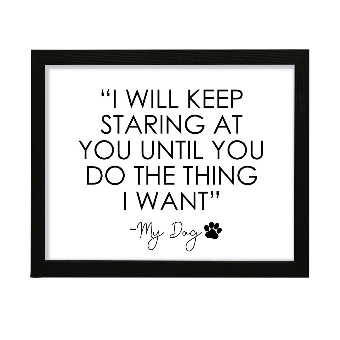 "I will keep staring at you until you do the thing that I want" My Dog, Framed Novelty Wall Art