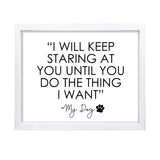 "I will keep staring at you until you do the thing that I want" My Dog, Framed Novelty Wall Art