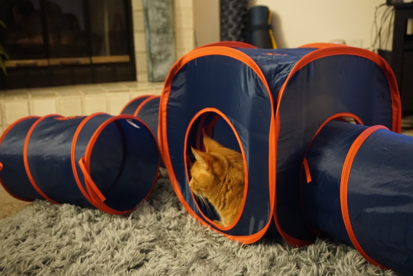 Paws and Pups Cat Home Collapsible House Cubes Tunnel Tassels (1 Cube 2 Tunnels) - Gaucho Goods