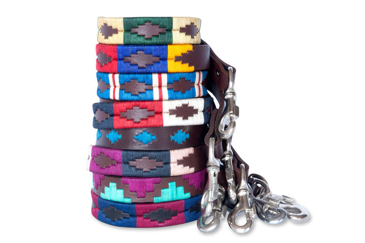 Different  Leather Dog Leashes