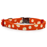 Nylon Dog Collar - Orange Daisy