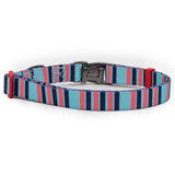 Nylon Dog Collar - Baby Blue/Pink Stripes