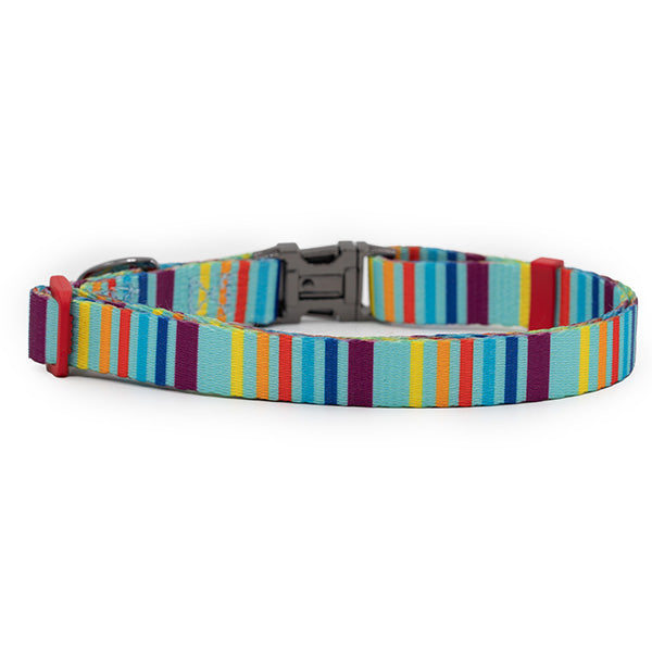 Nylon Dog Collar - Rainbow Stripes