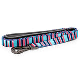 Paws and Pups Durable 6ft Nylon Dog Leash with neoprene padded handle - Baby Blue/Pink Stripes - Gaucho Goods