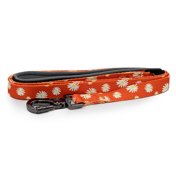 Paws and Pups Durable 6ft Nylon Dog Leash with neoprene padded handle - Orange Daisy - Gaucho Goods