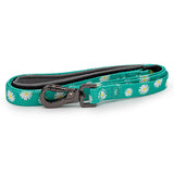 Paws and Pups Durable 6ft Nylon Dog Leash with neoprene padded handle - Teal Daisy
